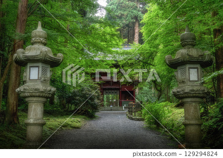 大岩神社 129294824