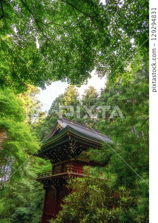 大岩神社 129294831
