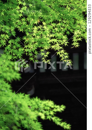 大岩神社 129294833