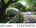 Scenery of Hakodate Park_Hakodate Park 129294856