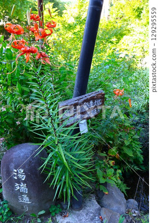 Kakeyu Onsen "Firefly Spot" on Yubata Street 129295559