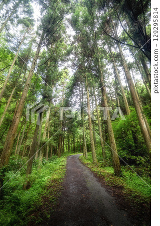 Summer hiking scenery on Mount Keisoku 129295814