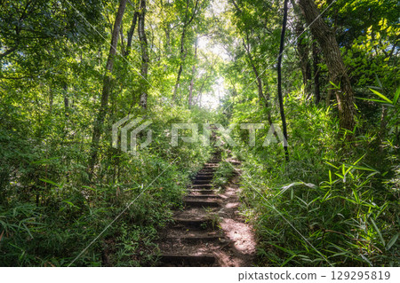 Summer hiking scenery on Mount Keisoku 129295819