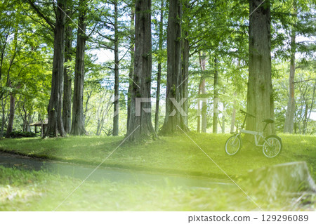 清新的綠意與初夏的騎乘形象（蒜山高原） 129296089
