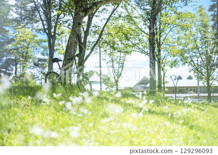 清新的綠意與初夏的騎乘形象（蒜山高原） 129296093