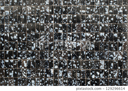 Portuguese glazed tiles 146 Portuguese glazed tiles 146 129296614