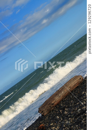 夕陽與太平洋浪花映照下的浮木[靜岡縣三保松原] 129296720