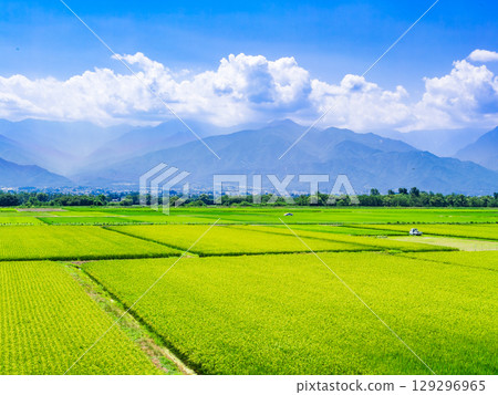 Shinshu Azumino農村風景在夏天 129296965