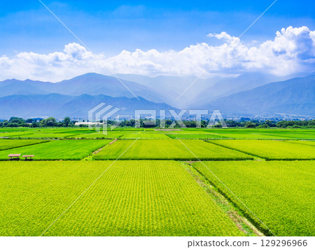 Shinshu Azumino農村風景在夏天 Shinshu Azumino農村風景在夏天 129296966