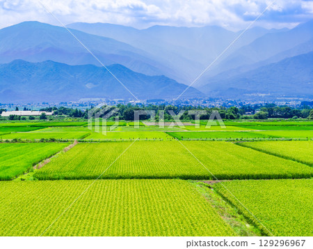 Shinshu Azumino農村風景在夏天 129296967