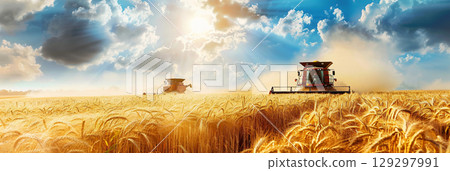 Combine harvester machine working in wheat field farm land. 129297991