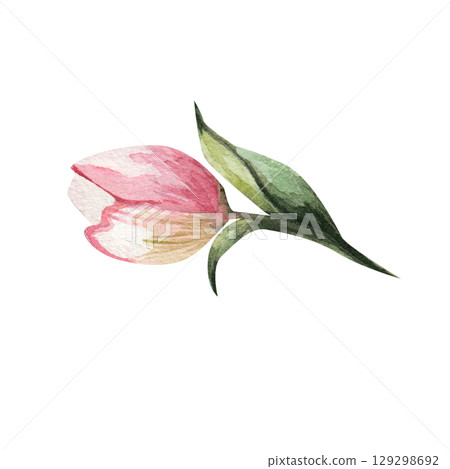 Apple tree flower bud. Hand-painted watercolor of a blossoming garden tree. Perfect for wedding cards and invitations, design, Mother's Day and birthday cards 129298692