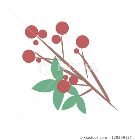南天竹果實和葉子冬季材料集 南天竹果實和葉子冬季材料集 129299185