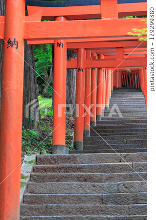 Arikoyama Inari Shrine Izushi Castle Arikoyama Inari Shrine Izushi Castle 129299380