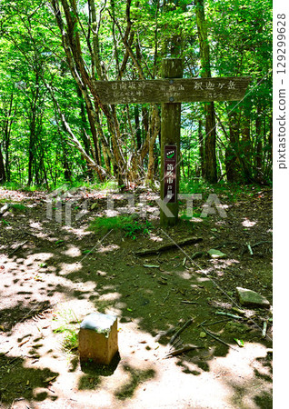 禦坂山脈的福摩山頂，森林之巔 129299628
