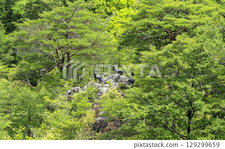 太龍寺索道，德島縣那珂町太龍寺山上的日本狼雕像 129299659