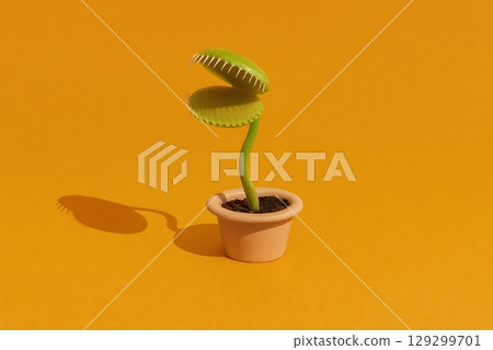 Venus flytrap plant in pot casting shadow on mustard yellow background 129299701