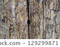 Weathered Wood Texture with Deep Split and Rough Surface 129299871