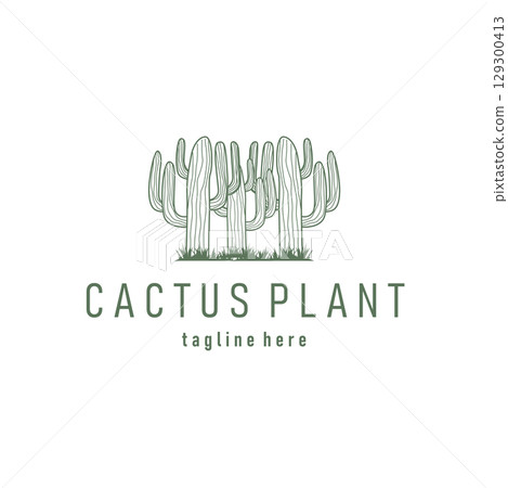 Simple cactus plant logo, desert plant line design as a decorative template design for a business brand or poster illustration 129300413