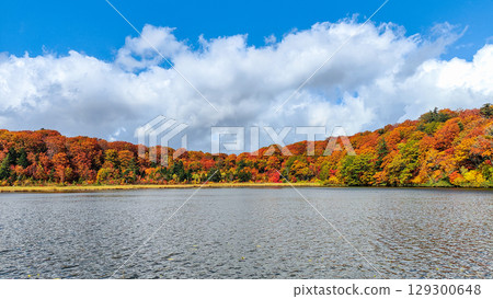 八幡平大沼(秋季) 八幡平大沼(秋季) 129300648