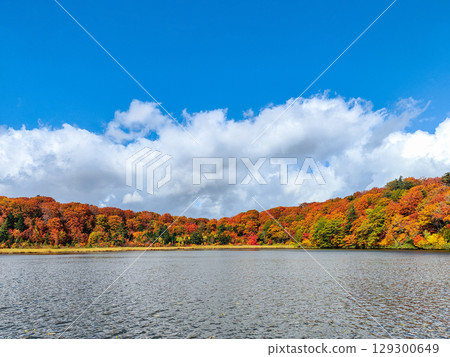 八幡平大沼（秋季） 129300649