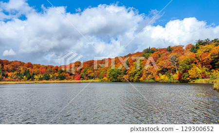 Hachimantai Onuma (Autumn) Hachimantai Onuma (Autumn) 129300652