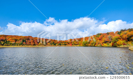 Hachimantai Onuma (Autumn) 129300655