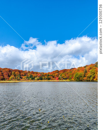 Hachimantai Onuma (Autumn) 129300736