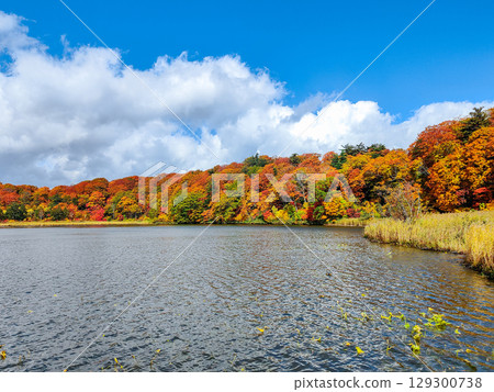 Hachimantai Onuma (Autumn) 129300738