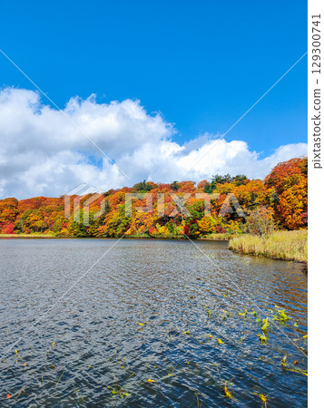 八幡平大沼（秋季） 129300741