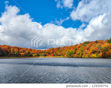 八幡平大沼(秋季) 八幡平大沼(秋季) 129300742