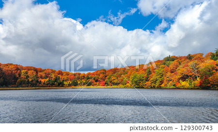 八幡平大沼（秋季） 129300743