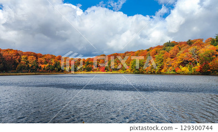 Hachimantai Onuma (Autumn) 129300744