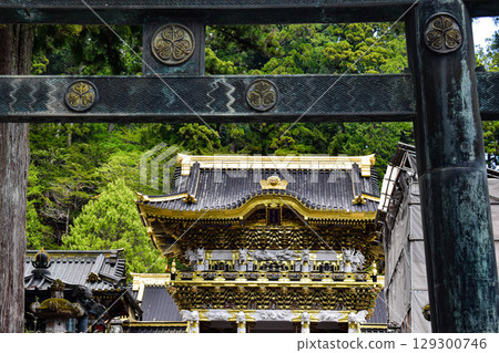 [Tochigi] The Gate of Nikko Toshogu Shrine: Feel the Weight of History 129300746