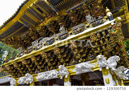 [Tochigi] The Gate of Nikko Toshogu Shrine: Feel the Weight of History 129300750