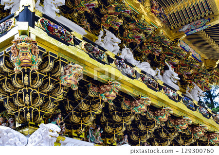 [Tochigi] The Gate of Nikko Toshogu Shrine: Feel the Weight of History 129300760