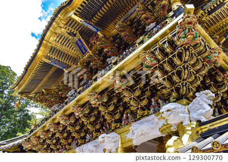 [Tochigi] The Gate of Nikko Toshogu Shrine: Feel the Weight of History 129300770