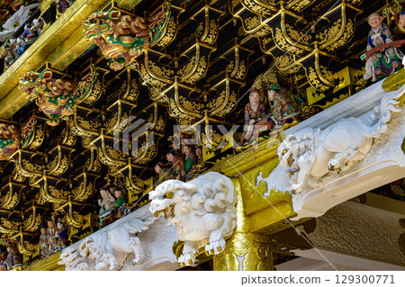[Tochigi] The Gate of Nikko Toshogu Shrine: Feel the Weight of History 129300771