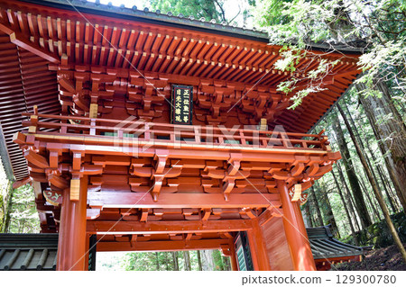 [Tochigi] The Gate of Nikko Toshogu Shrine: Feel the Weight of History 129300780