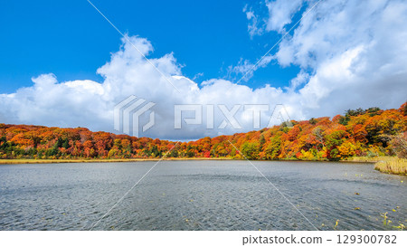 八幡平大沼(秋季) 八幡平大沼(秋季) 129300782