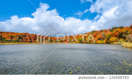 八幡平大沼（秋季） 129300783