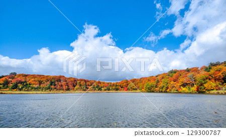 八幡平大沼（秋季） 129300787