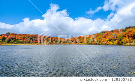 八幡平大沼（秋季） 129300788