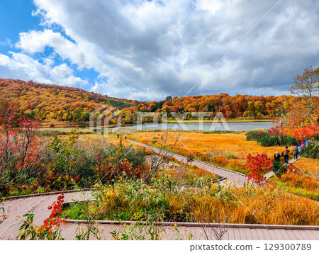 八幡平大沼（秋季） 129300789