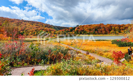 Hachimantai Onuma (Autumn) 129300812