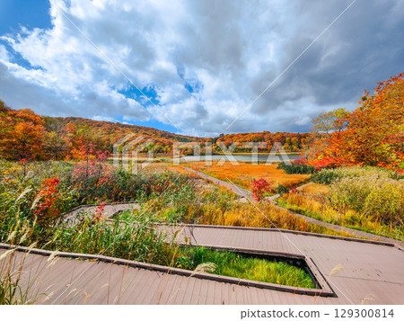 八幡平大沼(秋季) 八幡平大沼(秋季) 129300814