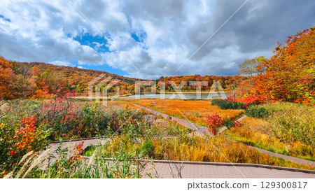 八幡平大沼（秋季） 129300817