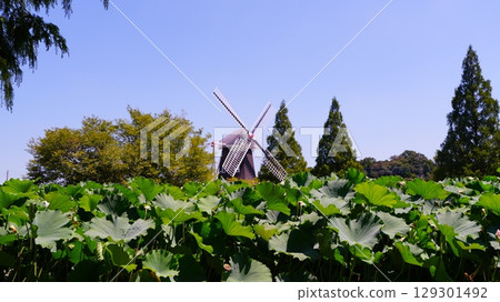 Landscape with windmill and lotus leaves Landscape with windmill and lotus leaves 129301492