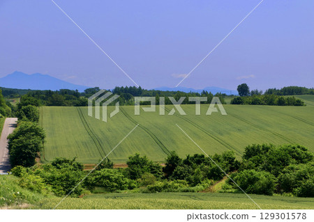 Auver Hill (Ozora Town, Hokkaido) Auver Hill (Ozora Town, Hokkaido) 129301578