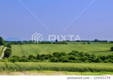 Auver Hill (Ozora Town, Hokkaido) 129301579